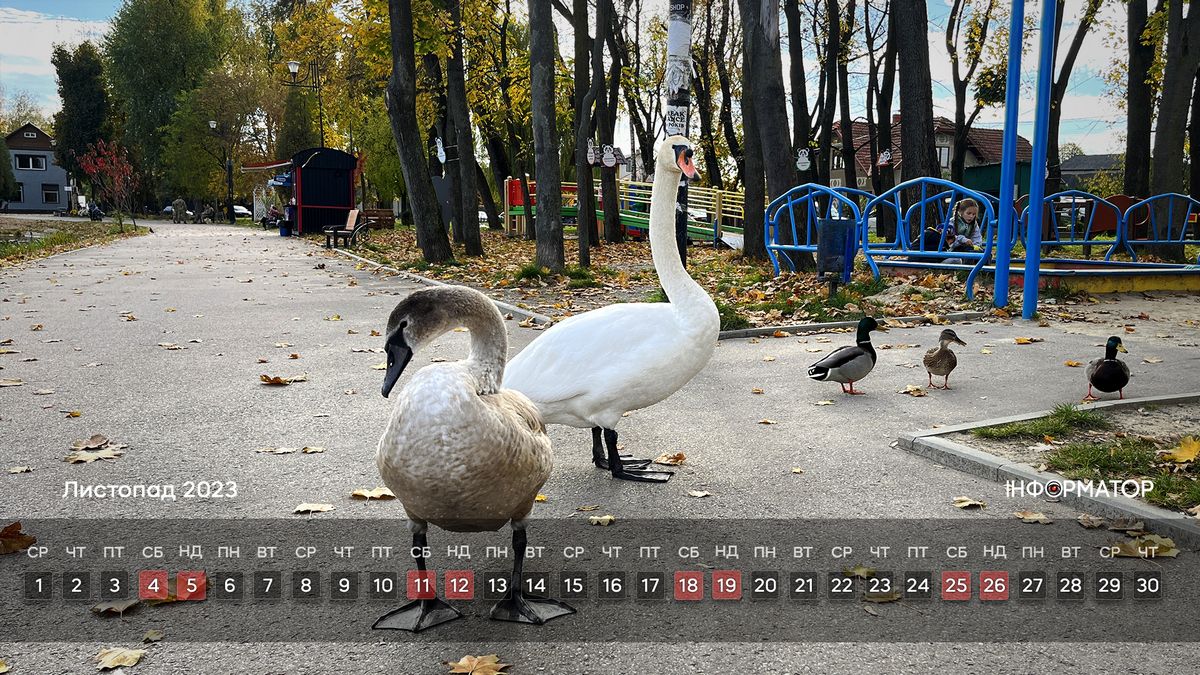 Календар на ваш робочий стіл | Листопад 2023 8