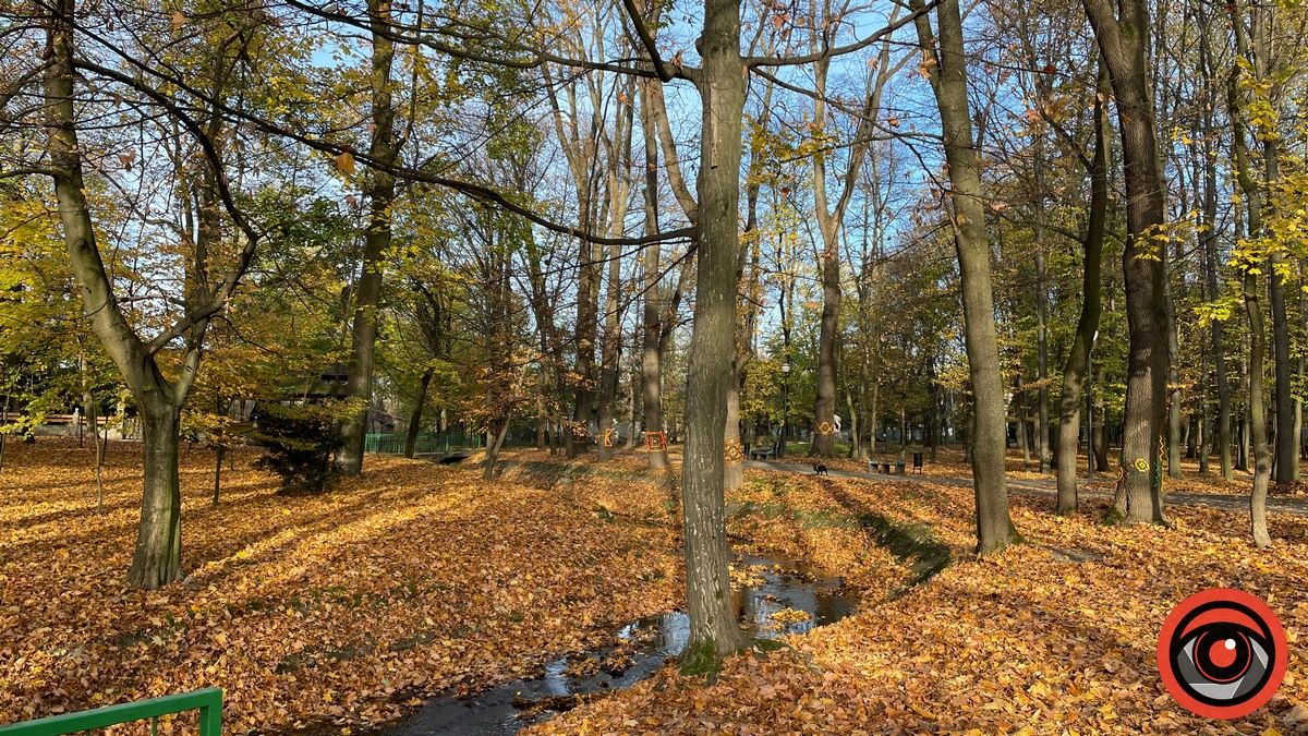 Погода у Коломиї 3 листопада