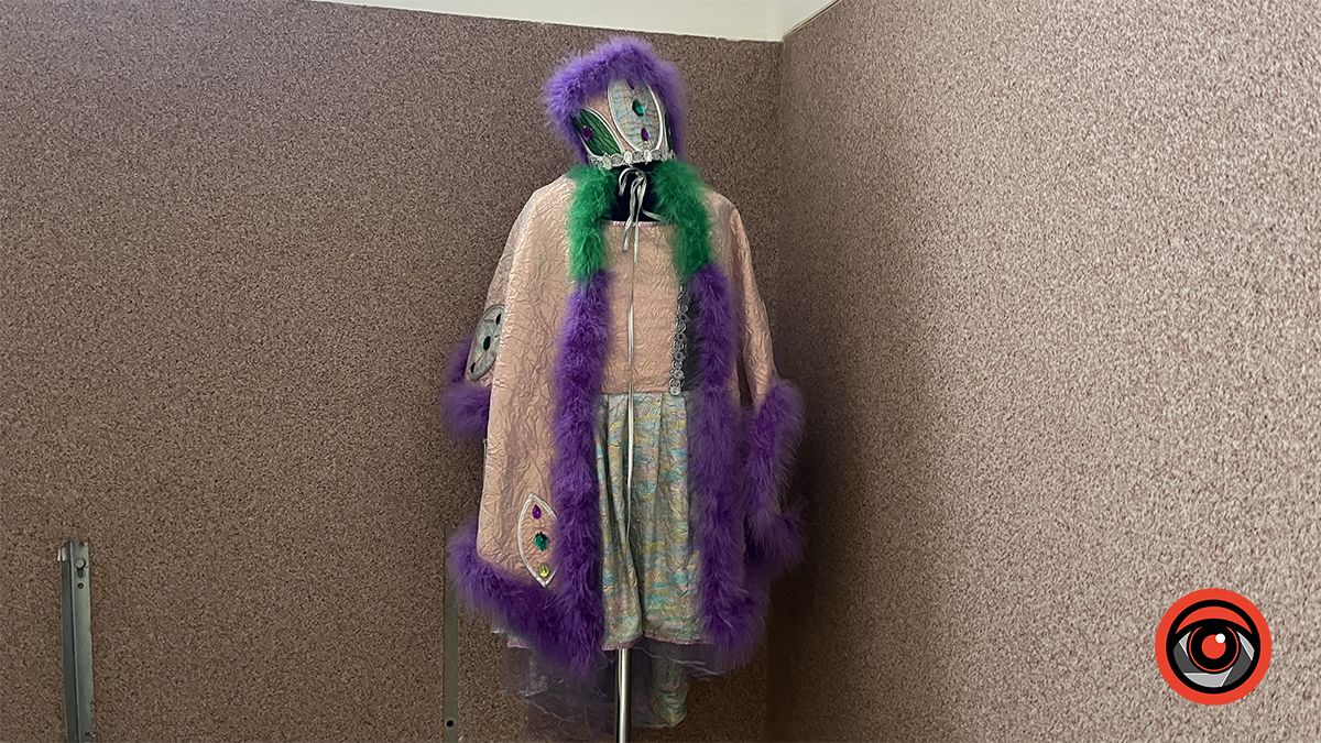 Де та за скільки можна взяти напрокат дитячий костюм у Коломиї? 5