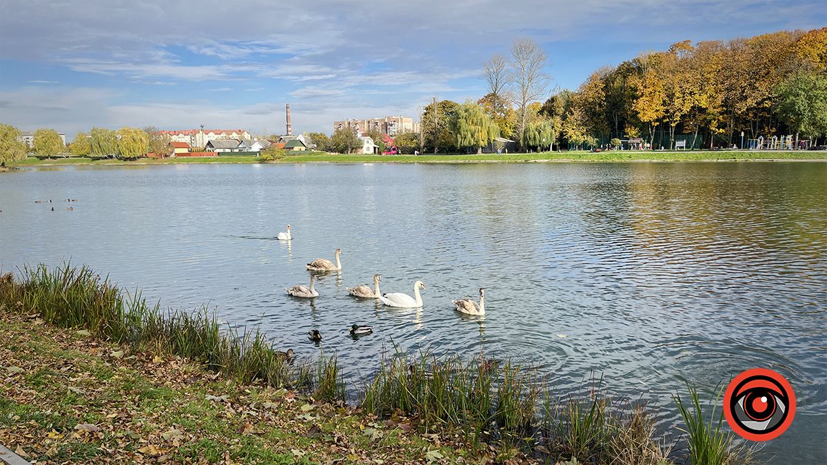 Коломия в фото жовтня 2023 7