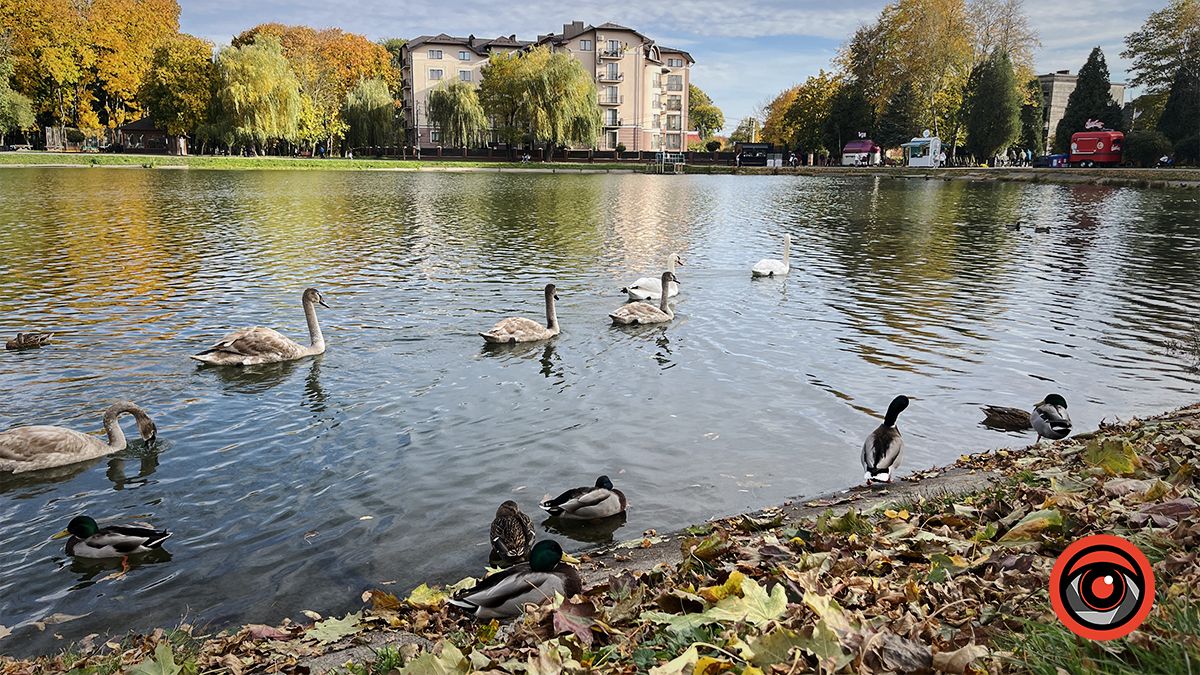 Коломия в фото жовтня 2023 8