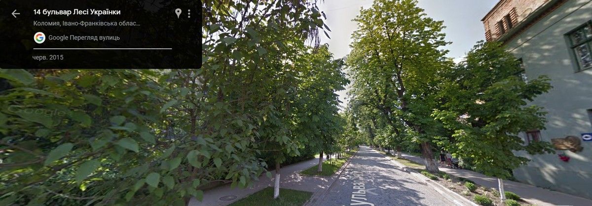 2015 р. Катальпи ще невисокі