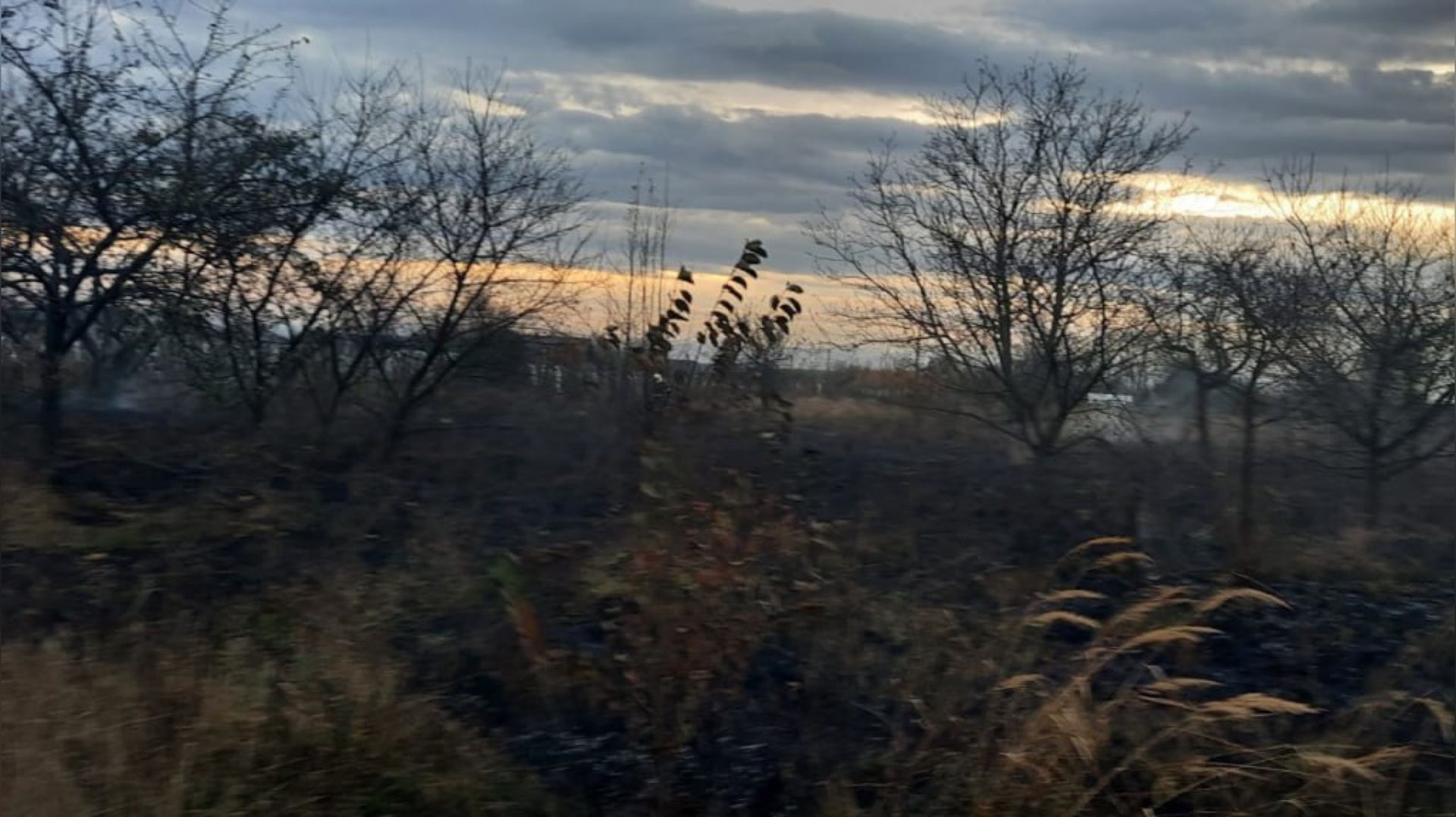 На Коломийщині гасили пожежу 1