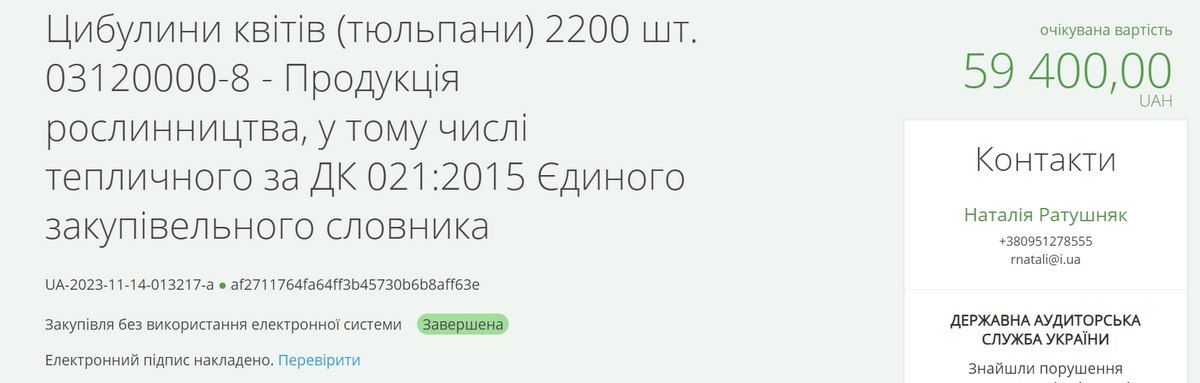 Тюльпани в рази вище ринкової ціни закупили коломийські озеленювачі 1