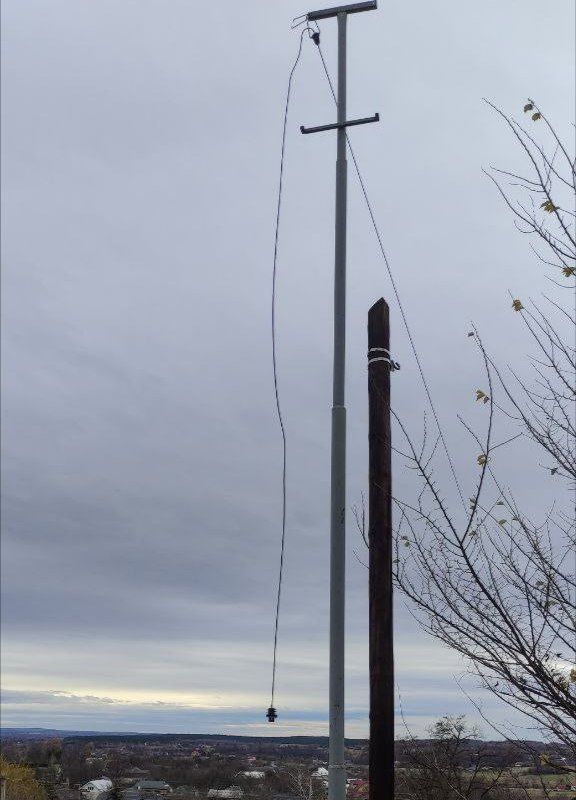 Шквальний вітер з корінням вирвав дерево на Коломийщині 2