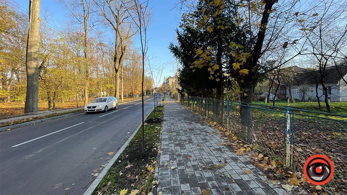 Комунальники висадили в мороз десятки саджанців на двох вулицях Коломиї 9