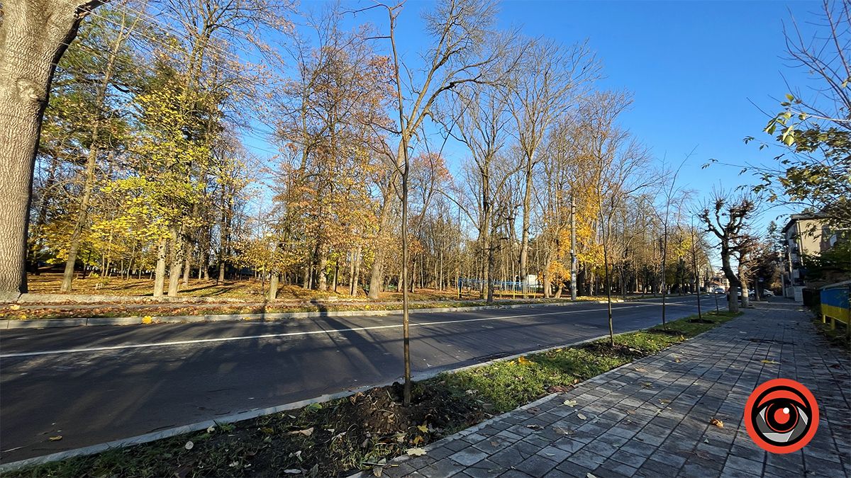 Комунальники висадили в мороз десятки саджанців на двох вулицях Коломиї 5