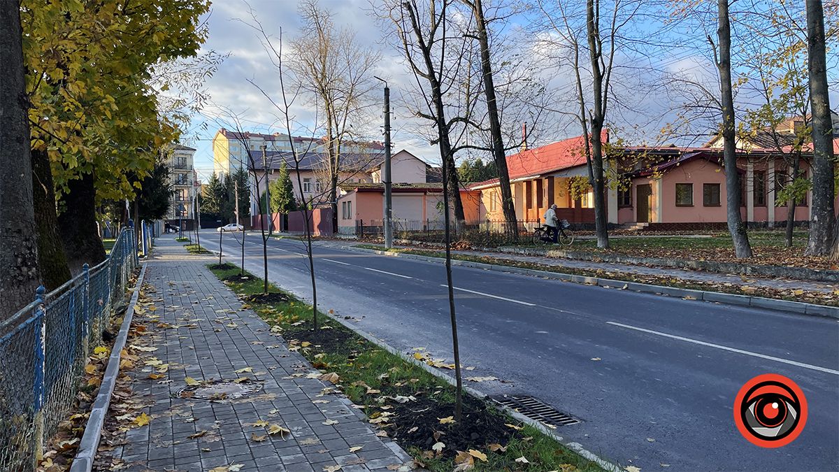 Комунальники висадили в мороз десятки саджанців на двох вулицях Коломиї 7