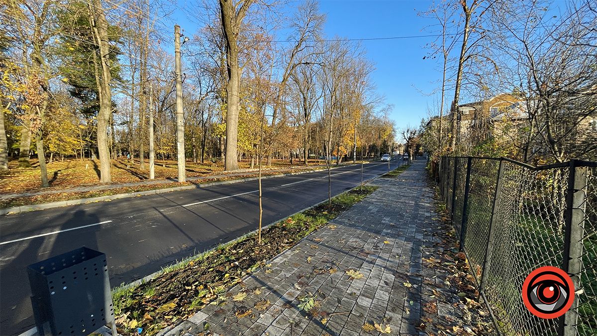 Комунальники висадили в мороз десятки саджанців на двох вулицях Коломиї 8