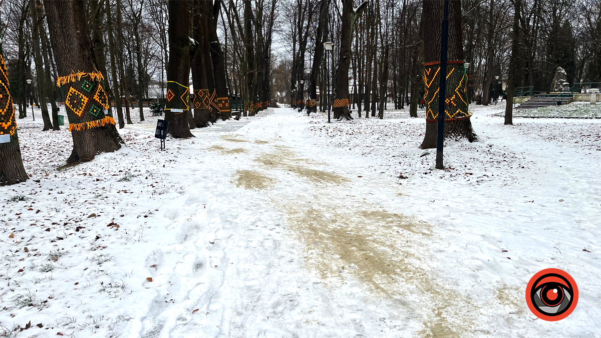 Міський парк ім. Трильовського
