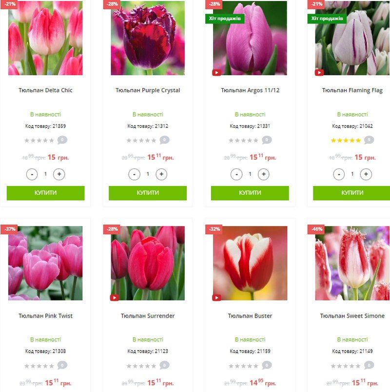 Тюльпани в рази вище ринкової ціни закупили коломийські озеленювачі 2