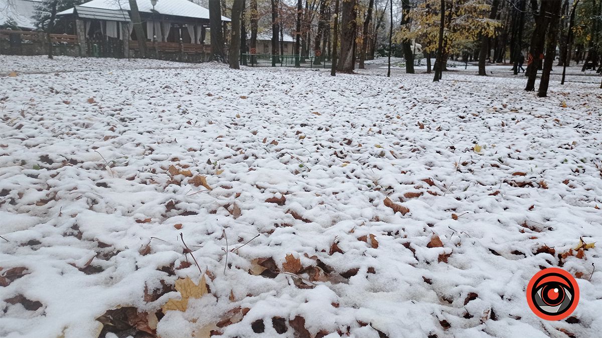 Міський парк Коломиї під першим снігом | Фоторепортаж 13