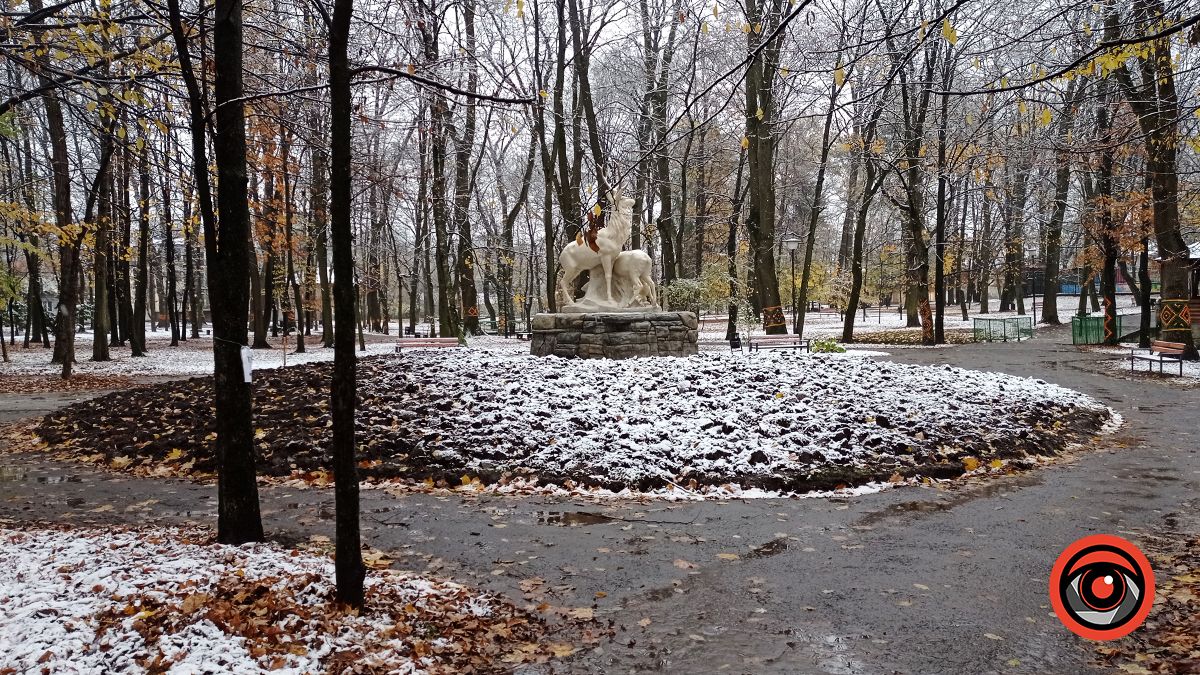 Міський парк Коломиї під першим снігом | Фоторепортаж 3