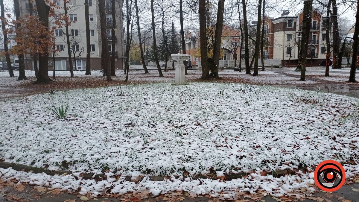 Міський парк Коломиї під першим снігом | Фоторепортаж 11