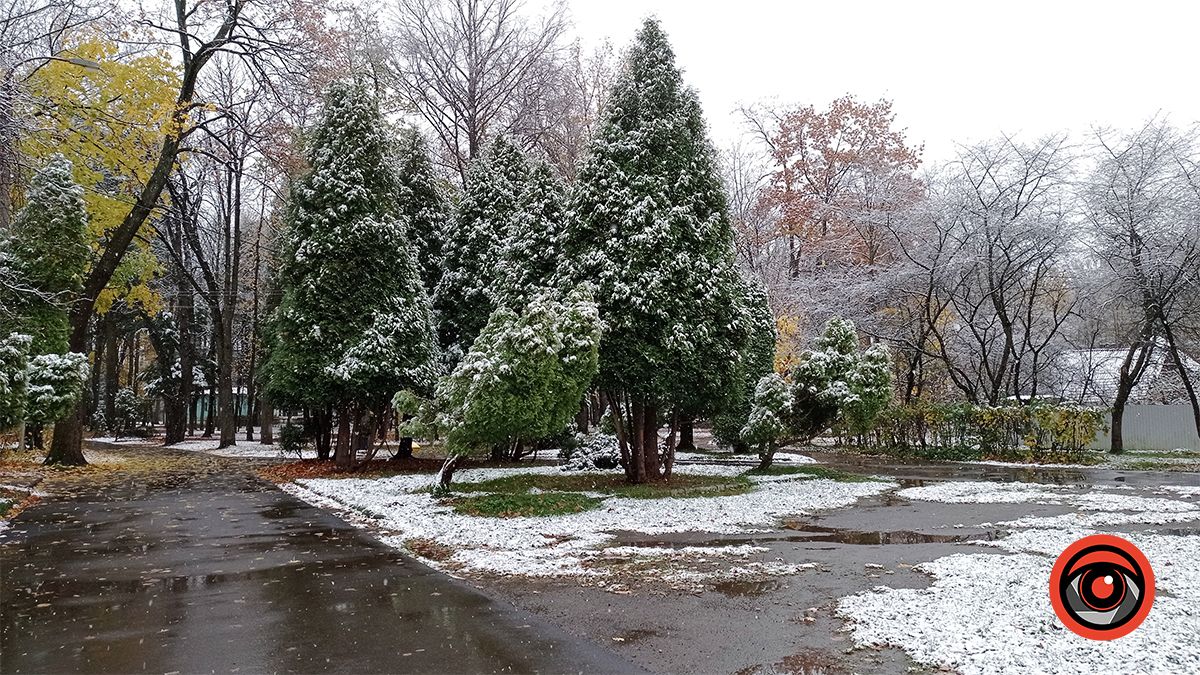 Міський парк Коломиї під першим снігом | Фоторепортаж 7