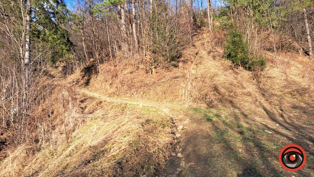 Фотомандрівка до полонини на горі Сиглін, де є найвища гойдалка Карпат 6