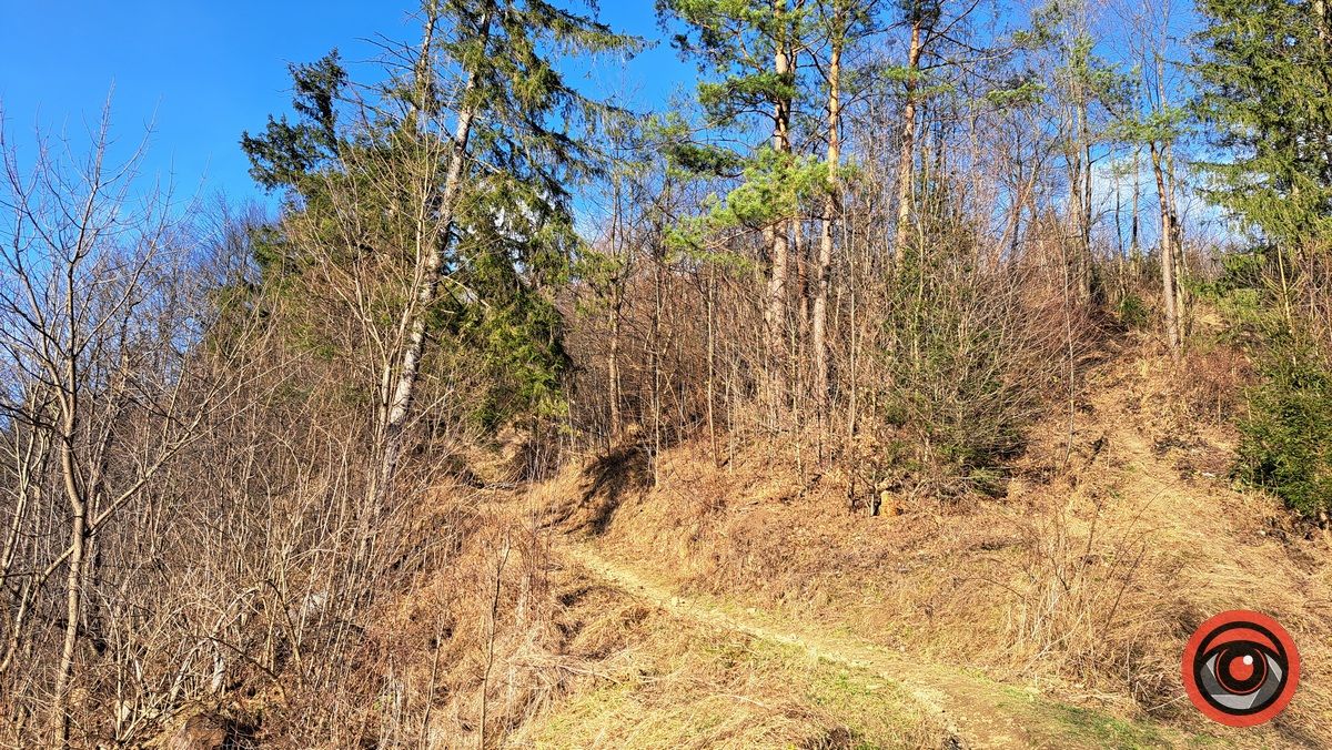 Фотомандрівка до полонини на горі Сиглін, де є найвища гойдалка Карпат 7