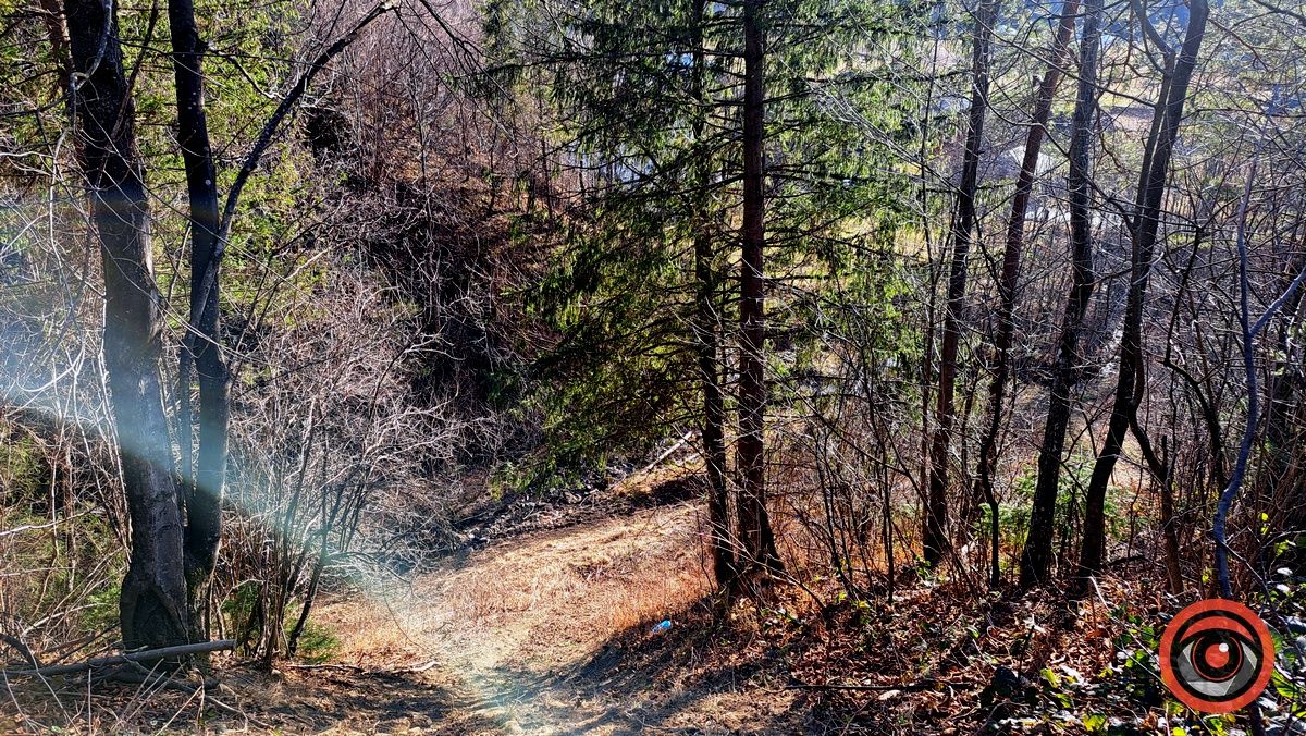 Фотомандрівка до полонини на горі Сиглін, де є найвища гойдалка Карпат 8