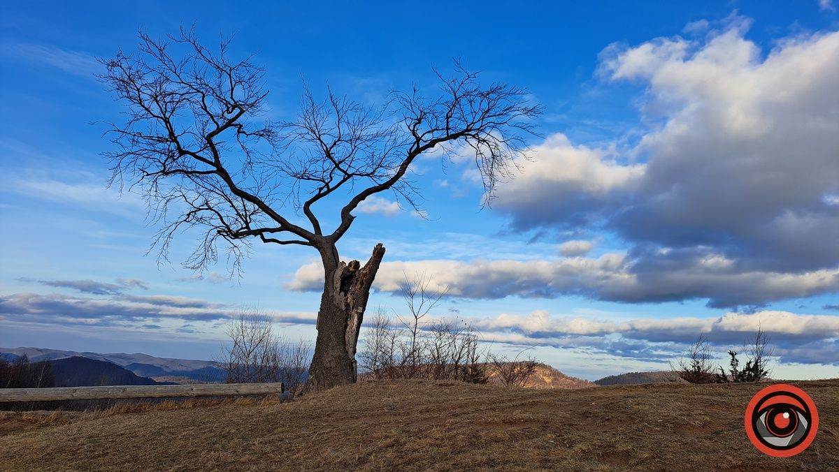 Фотомандрівка до полонини на горі Сиглін, де є найвища гойдалка Карпат 28