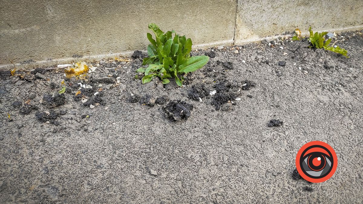 Фото – нові заасфальтовані дороги біля буд. Коновальця, 19