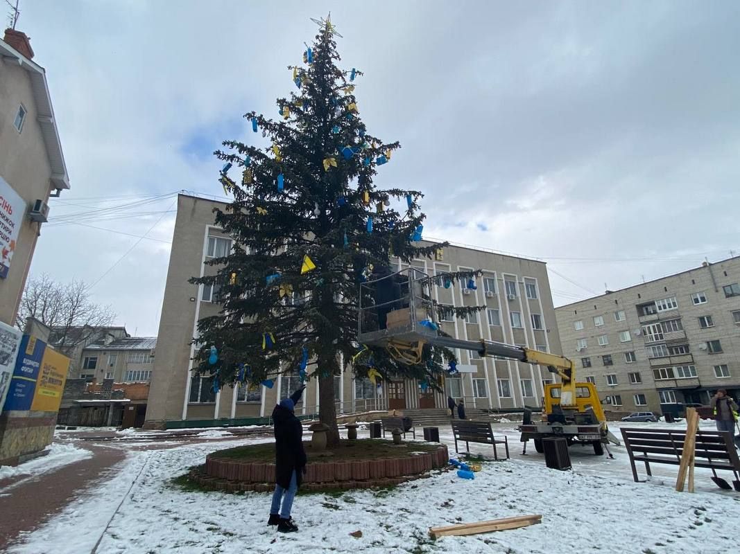 У центрі Городенки прикрасили живу ялинку 3