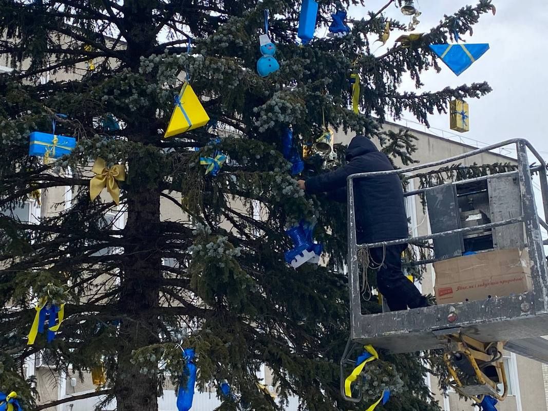 У центрі Городенки прикрасили живу ялинку 1