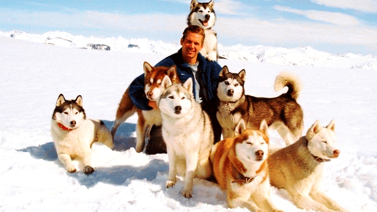 підбірка фільмів