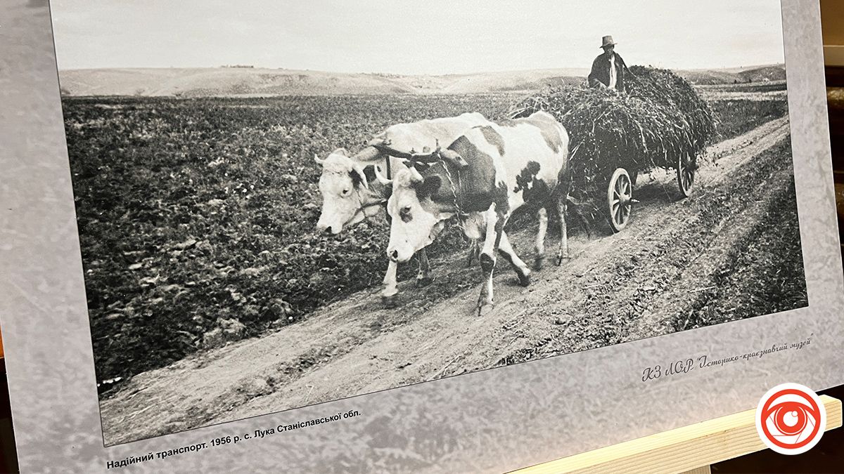 Унікальні столітні світлини галичан 17