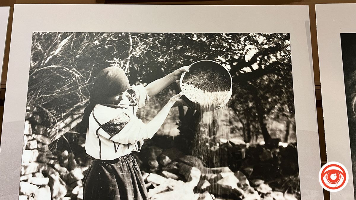 Унікальні столітні світлини галичан 14