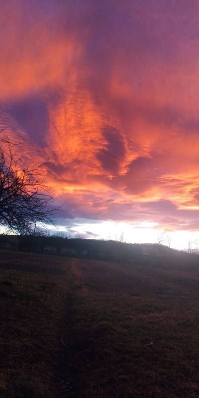 Фото - Галя Чужак