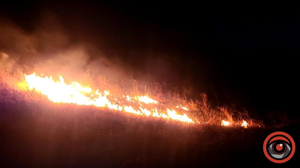 На Коломийщині масштабна пожежа сухої трави 2