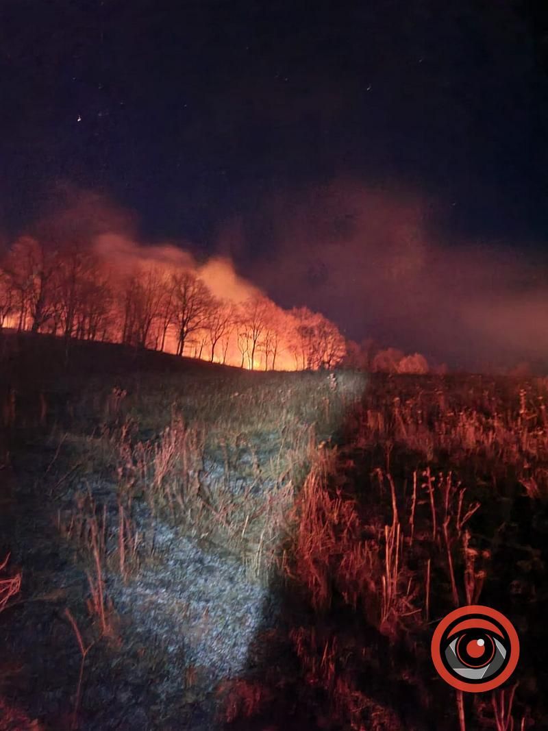 На Коломийщині масштабна пожежа сухої трави 1