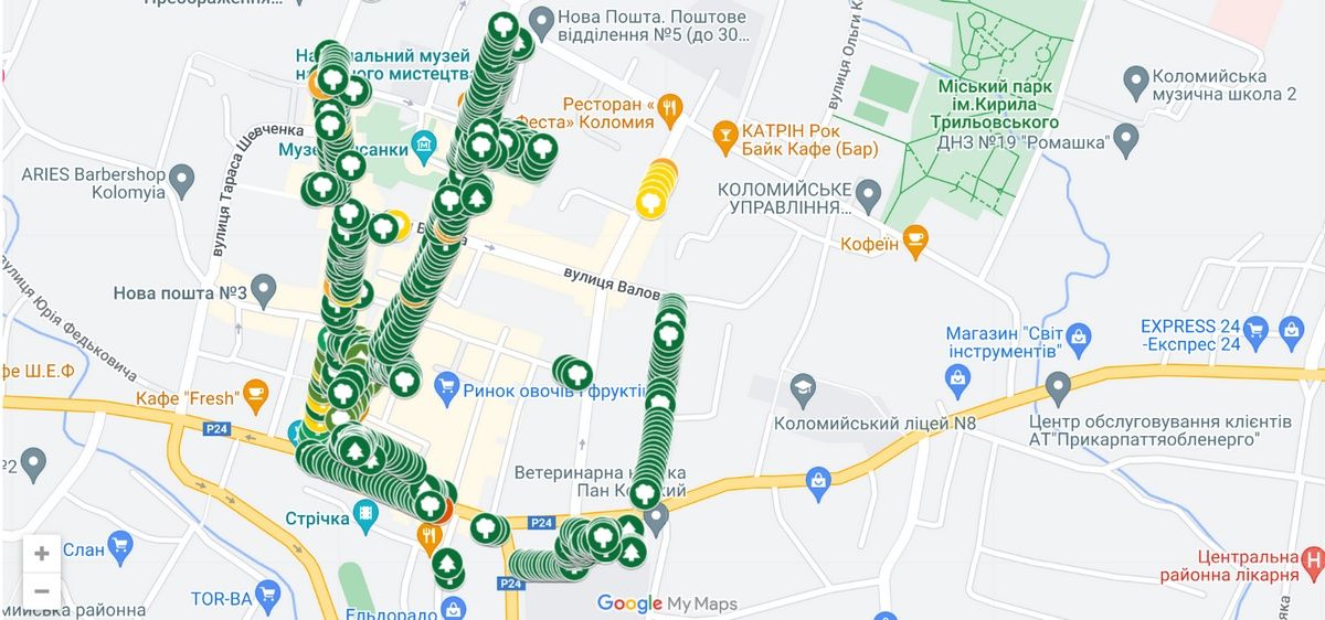 У Коломиї складають мапу дерев громади 1