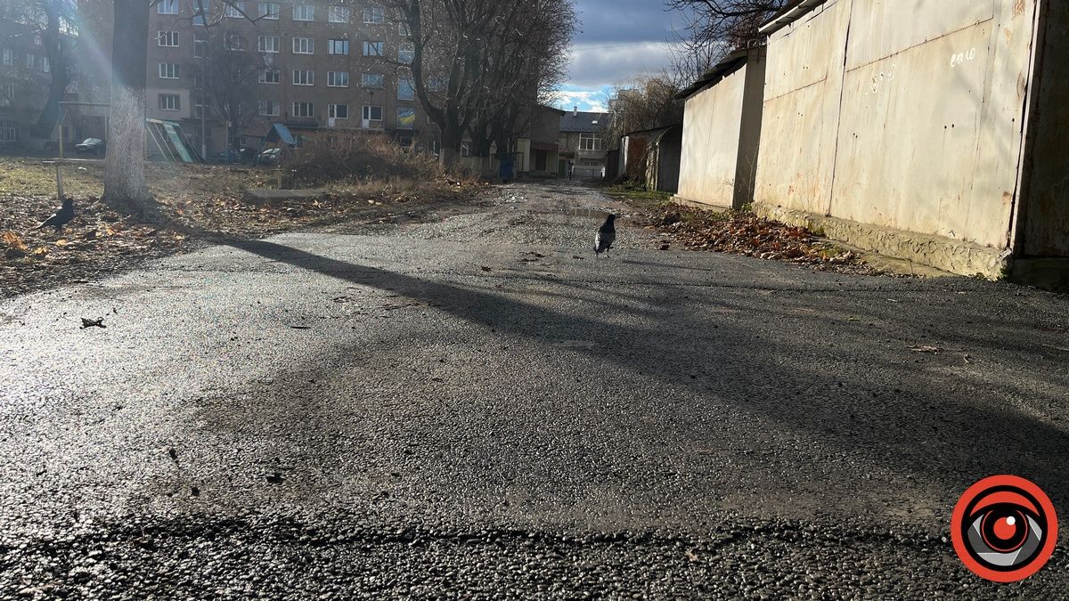 Нарешті почули: у Коломиї до садочка постелили асфальт 6