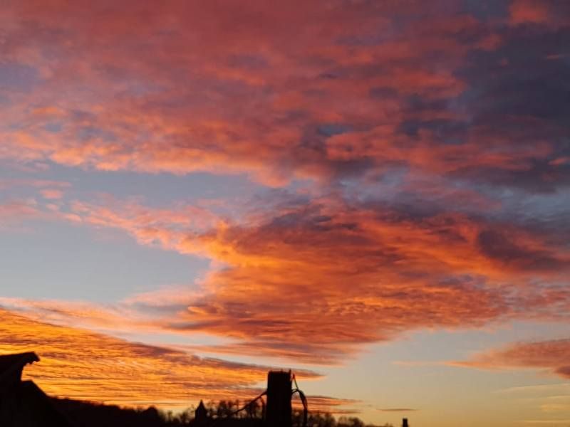 фото - Ірина Бродович