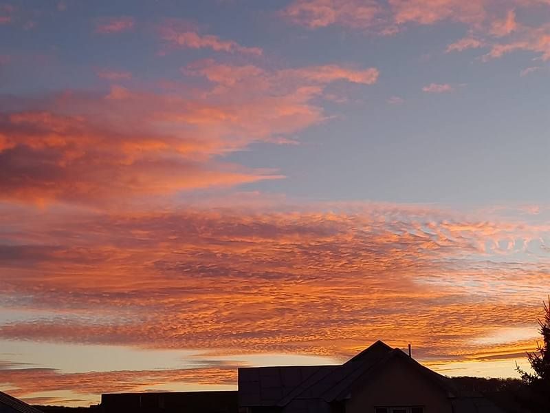 Фото - Ірина Бродович