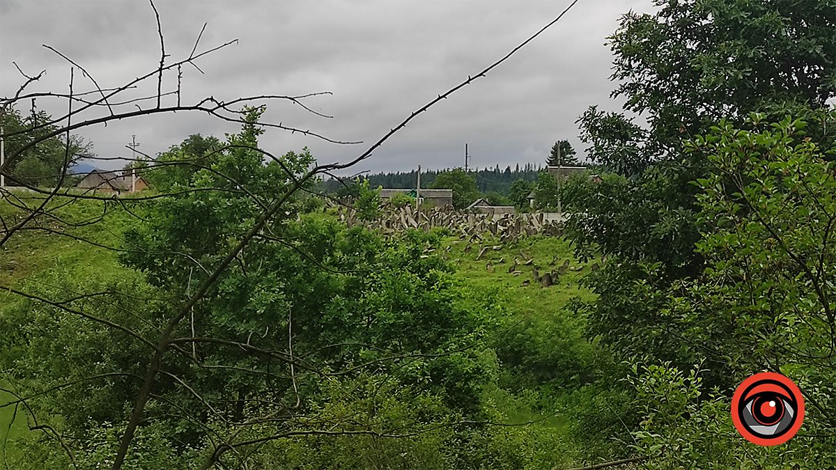 Кіркути в Делятині: масштабний єврейський некрополь, який вражає 1