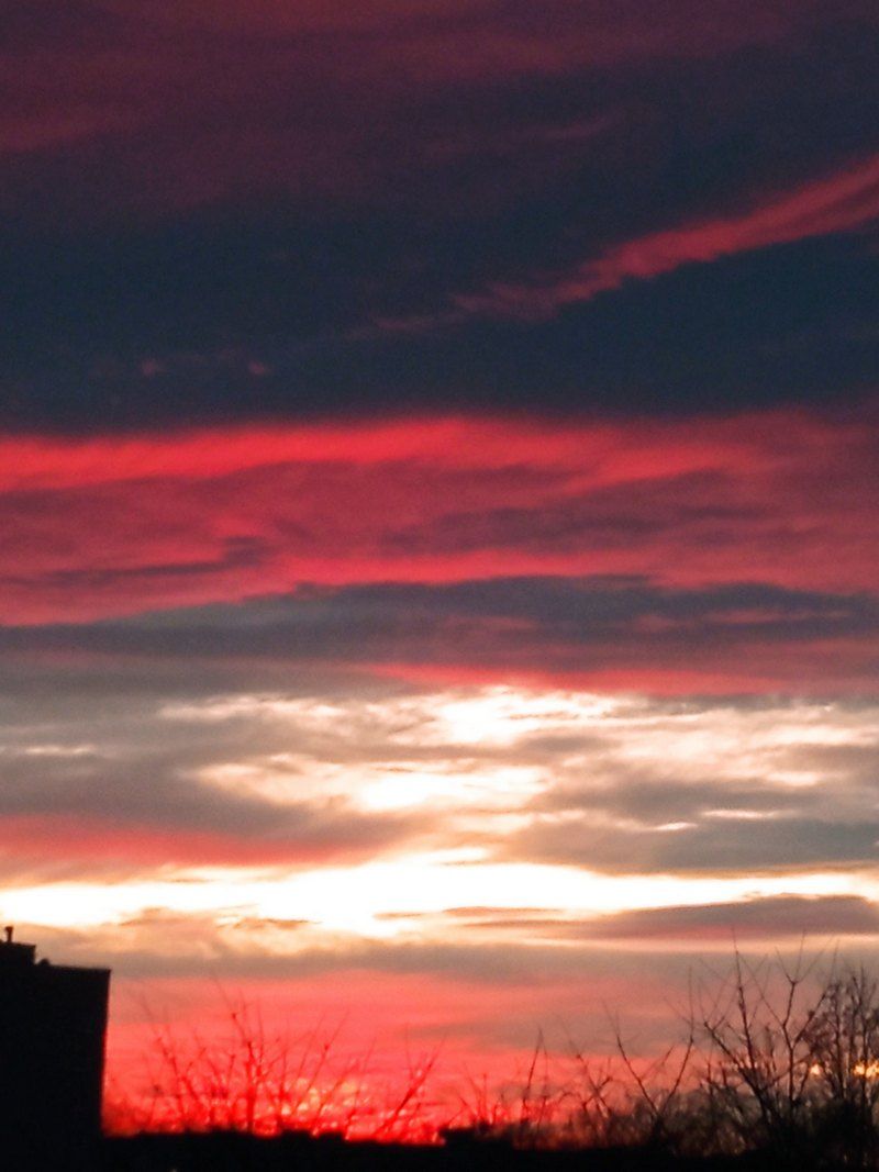 Фото - Клавдія Данилюк