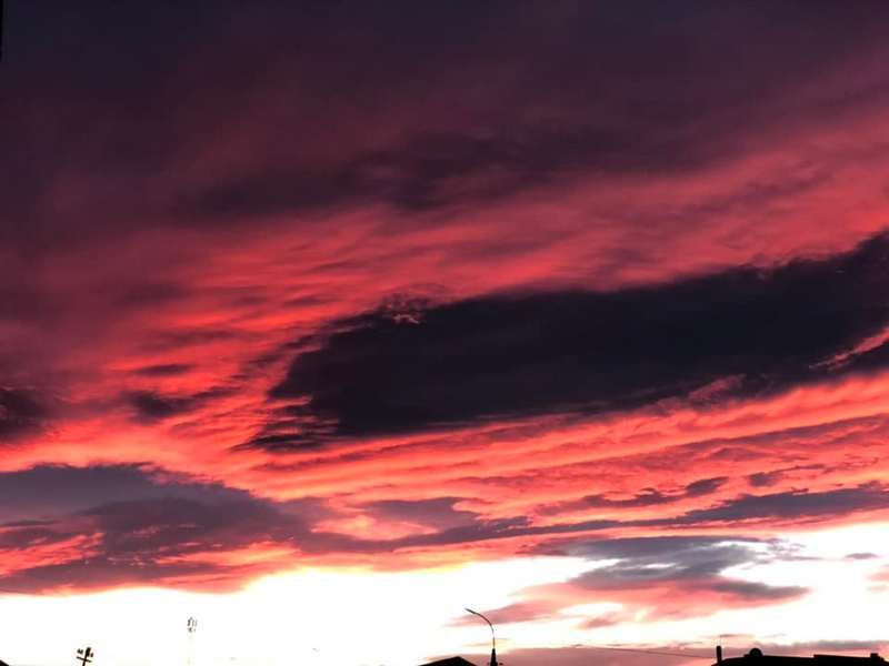 Фото - Козловська Лілія