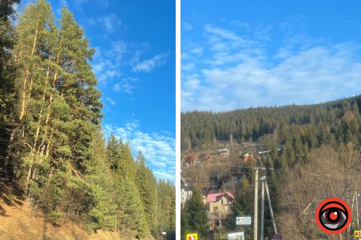 Яка сьогодні погода в Яремче: фоторепортаж 1