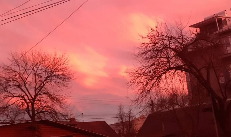 фото - Стефанія Струк Головецька