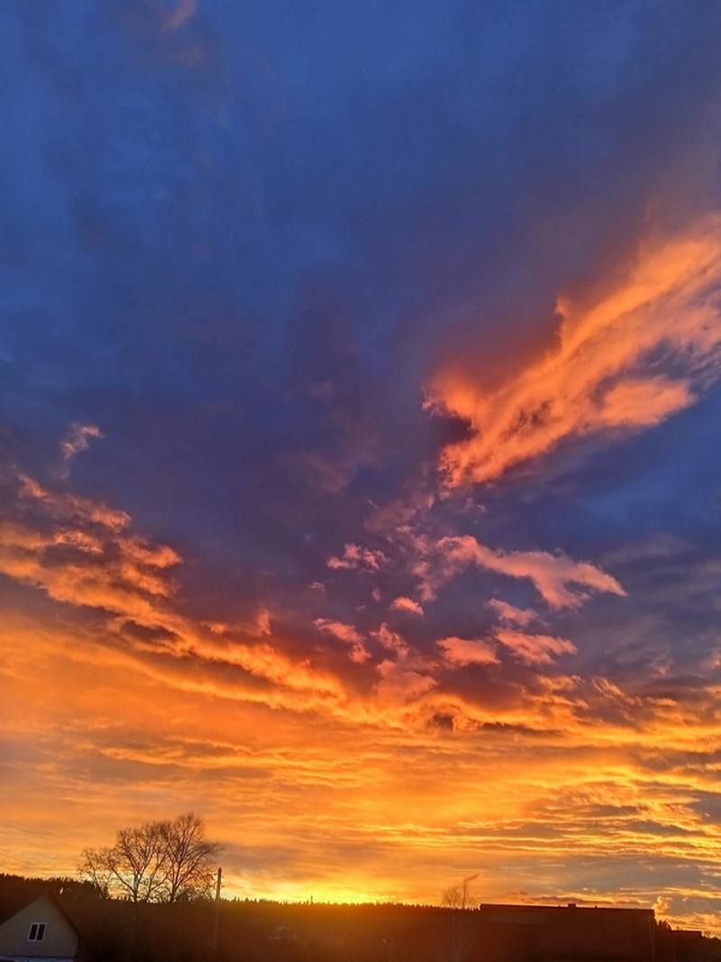 фото- Любомира Довбенюк