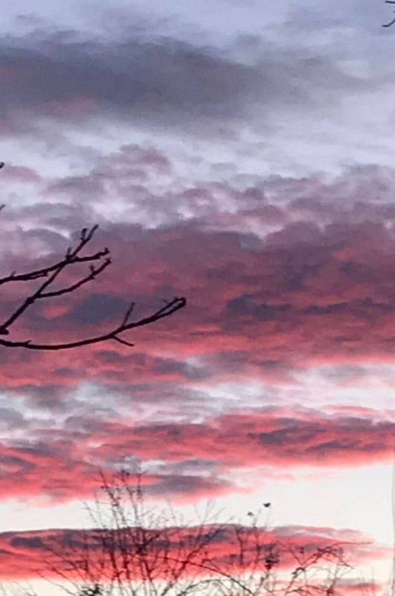 Фото - Надія Семенів