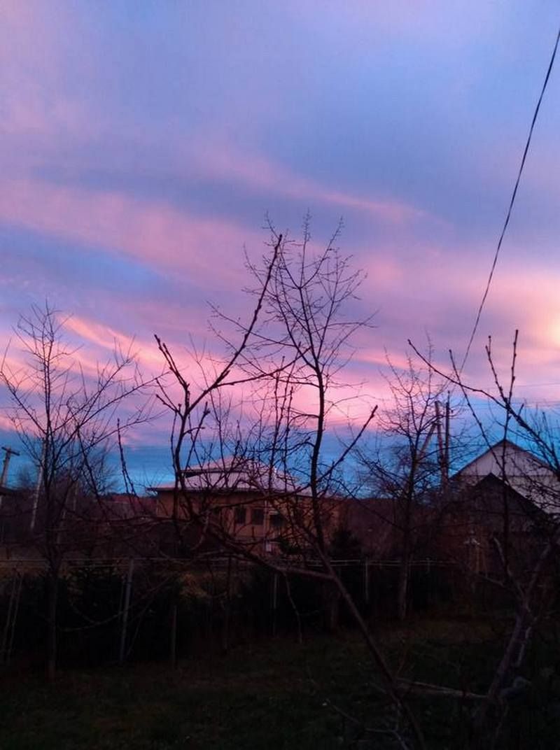 Фото - Стефанія Струк Головецька