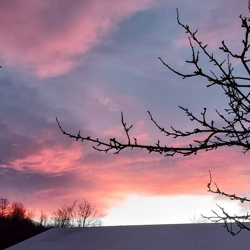 Фото - Тетяна Турлуківська