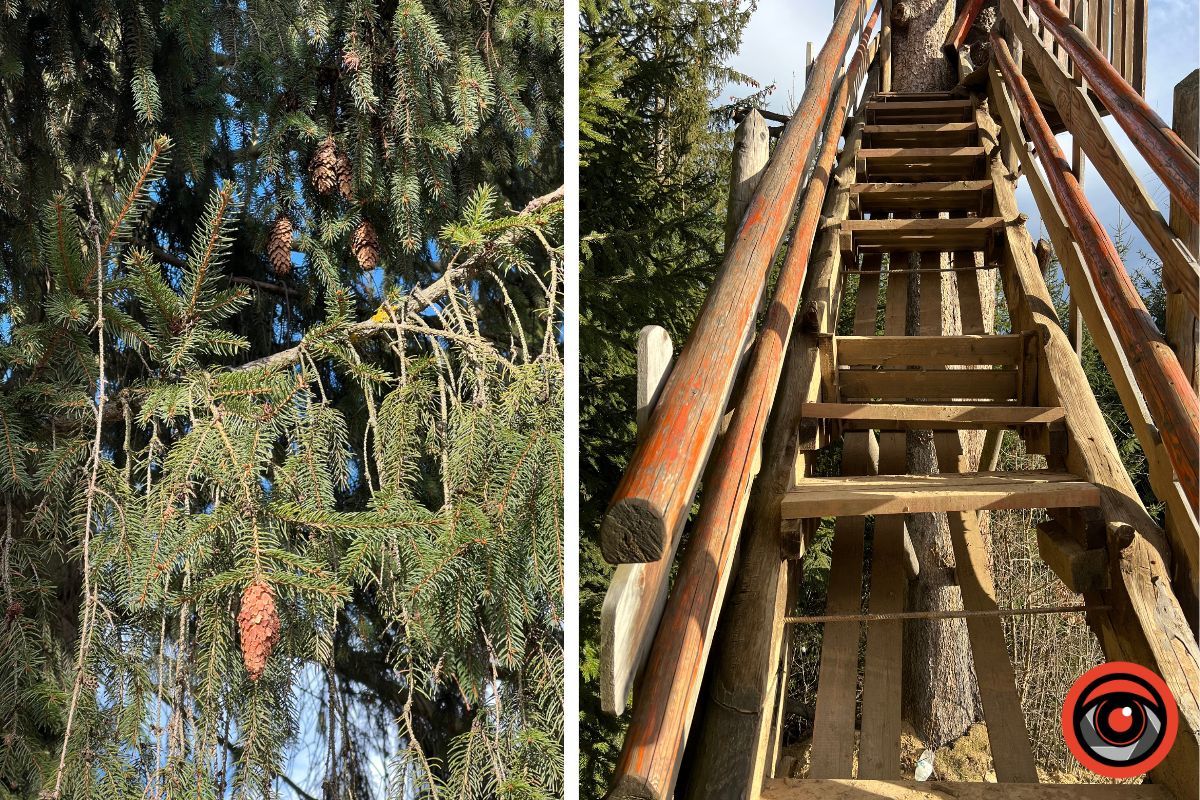 Оглядова вежа у Верховині: фоторепортаж 5