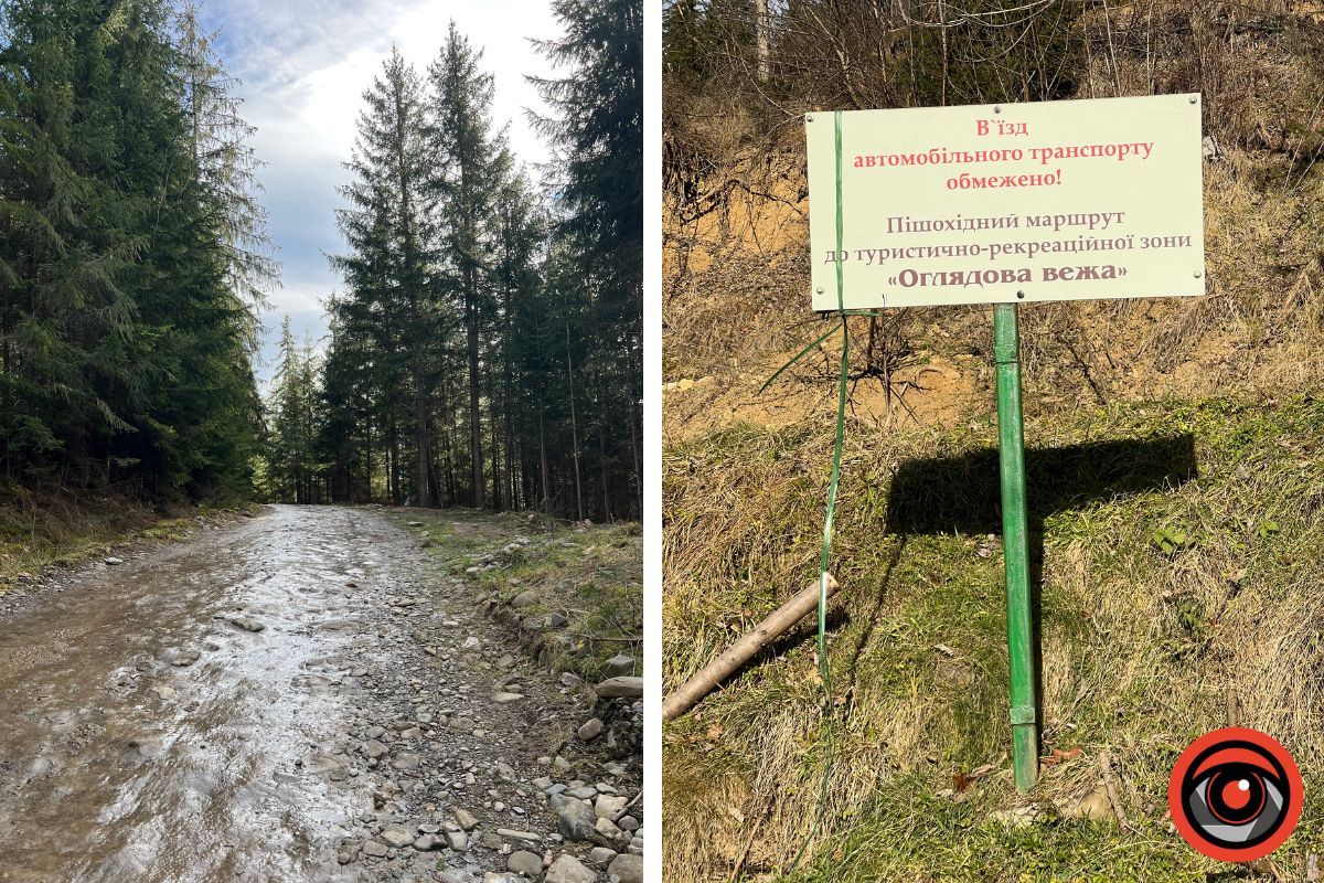 Оглядова вежа у Верховині: фоторепортаж 1