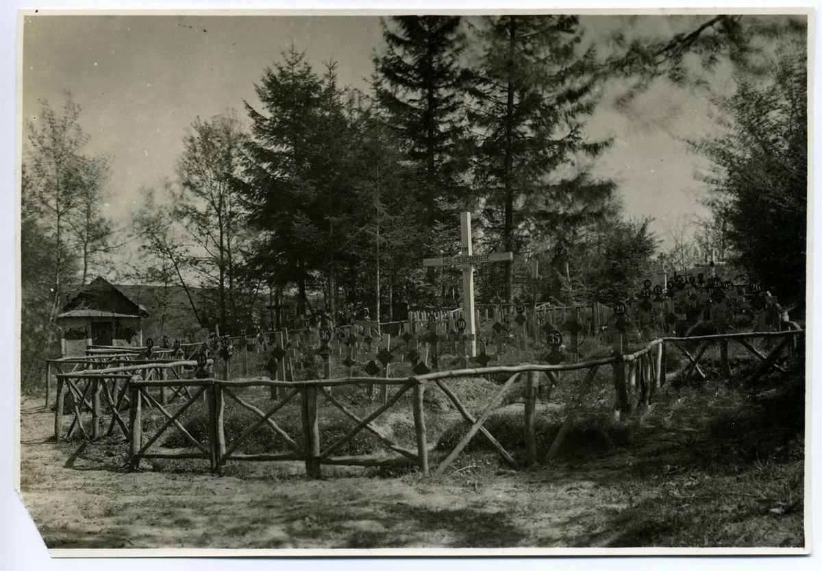 Військовий цвинтар поблизу Коломиї