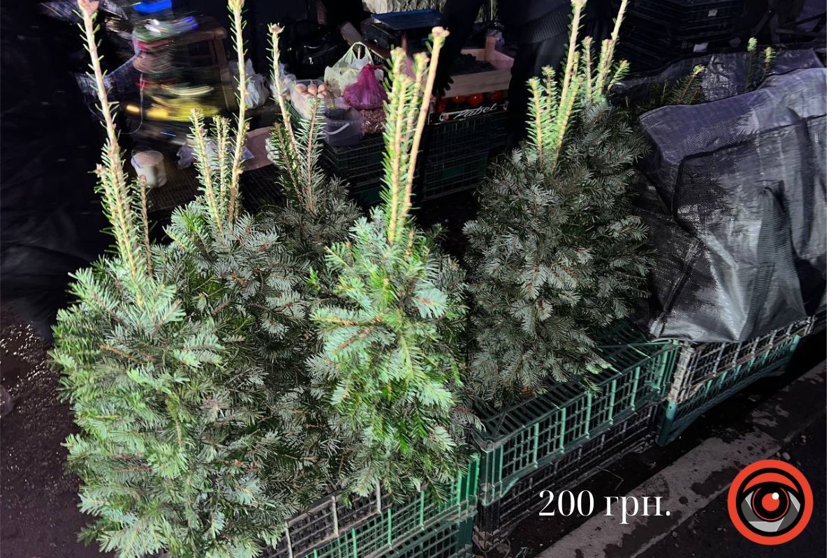 Яка вартість ялинок на ринку в Яремче 2