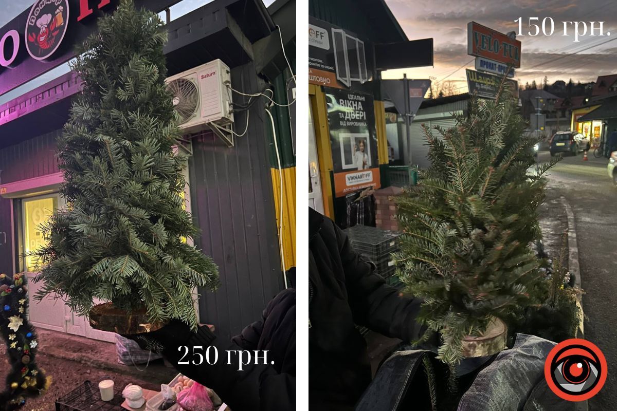 Яка вартість ялинок на ринку в Яремче 1